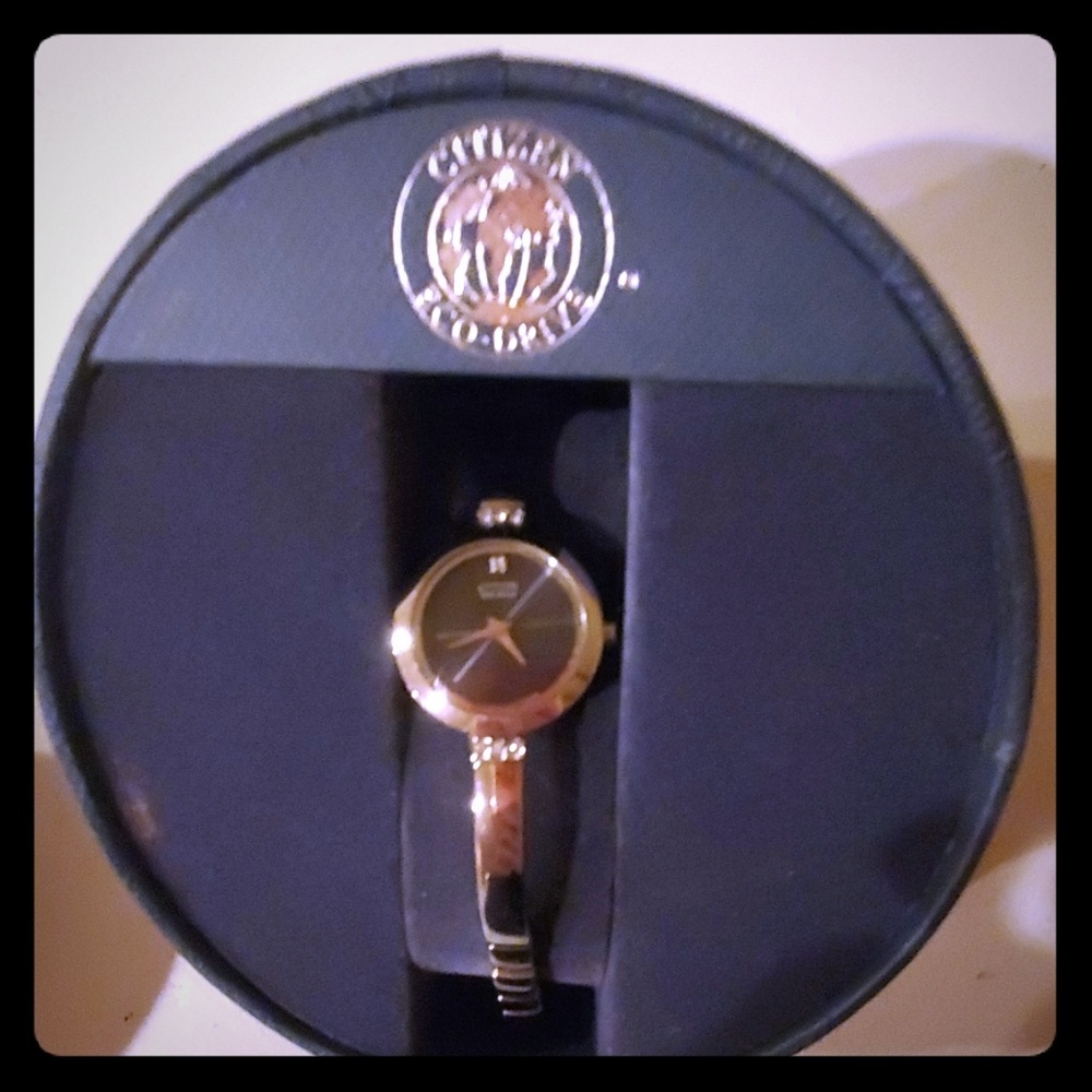 Authentic citizen Eco drive watch